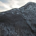 Val Grande, faggeta in località Provola di Valle cannobina - Foto C. Venturini del Solaro